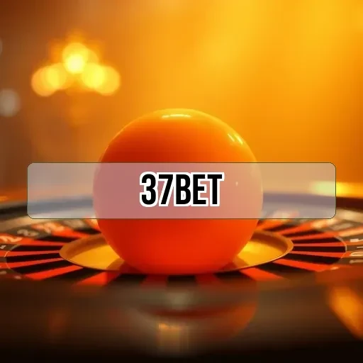 37 bet: Bingo Online com Diversão e Prêmios Atraentes